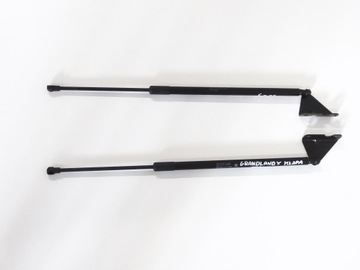 фото thumb №1, Амортизаторы амортизаторы крышки opel grandland x