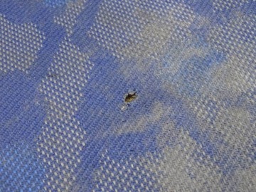 фото thumb №6, Iveco eurocargo ii 02-08 сиденье заднее сиденье пассажира uk