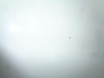 фото thumb №13, Капот крышка перед renault premium 370 dci белая