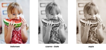 Фотопостер 60х90 Fuji Lustre DPI матовая бумага Profes