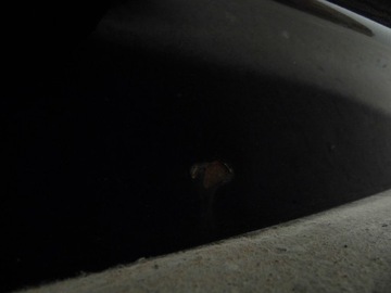 фото thumb №5, Кришка багажника + спойлер задня s-line audi a3 8p 04-12r lz9y