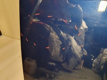 фото thumb №6, Ford b-max 2012-2019 двері праве перед deep impact