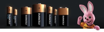 Батарейки DURACELL Basic LR6/AA (12 шт.)