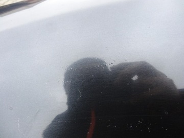 фото thumb №11, Audi a8 d2 99-02 крыло перед левый правый lz9w доставка