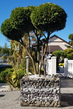 Stone Bark Garden Каменно-гравийная крошка 20 кг