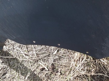 фото thumb №2, Крыло правый задний mitsubishi asx