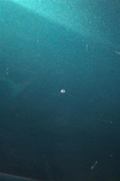 фото thumb №2, Двері задні праве daihatsu yrv