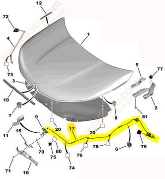 фото thumb №1, Трос крышки двигателя citroen c4 ii, ds4 09-