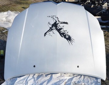 фото thumb №5, Citroen c5 fl 2004-2008 капот кришка двигуна планка хром срібна