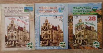 СТРАННИК МАЛОПОЛЬСКОЙ 3 ЦИФРЫ