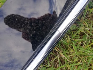 Ford focus mk4 рамка решётка противотуманной фары левая vignale Доставка, фото thumb