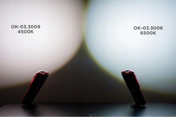 COB LED СВЕТИЛЬНИК ДЛЯ МАСТЕРСКОЙ, 10+3ВТ, 1000 ЛМ ROKS