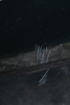 фото thumb №4, Капот audi a6 c6