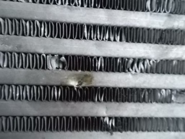 Купити Радіатор інтеркулер opel meriva b corsa d 06-17 13283251 оригінал, фото thumb