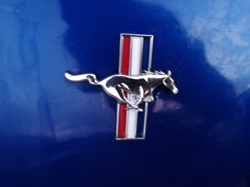фото thumb №10, Крыло правый перед переднее ford mustang iv 93-04r