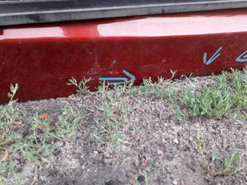 фото thumb №3, Крышка зад задняя nissan qashqai j11 13-