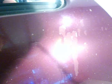 фото thumb №5, Капот перед opel vectra c signum z594