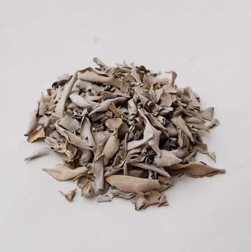 ШАЛФЕ БЕЛЫЙ 25г - I сорт - Salvia Apiana