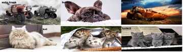 Kubuś угловой диван Детский диван GUARD QUAD CATS