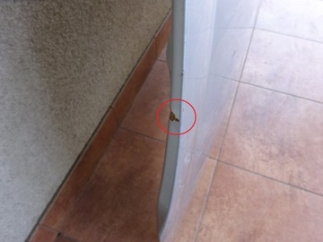 фото thumb №10, Hyundai i20 2008-2012 08-12 кришка двигуна капот
