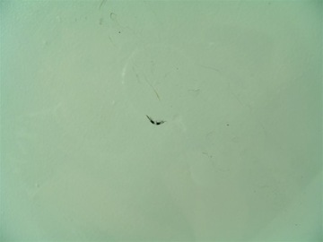 фото thumb №5, Скло лобове передня mercedes w211 a2118701585