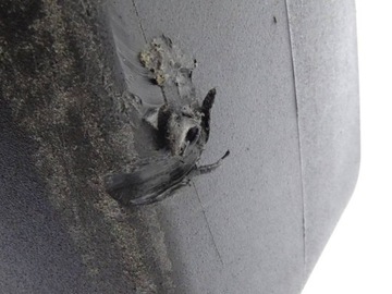 фото thumb №8, Iveco stralis hi-way e6 бак adblue kompletny