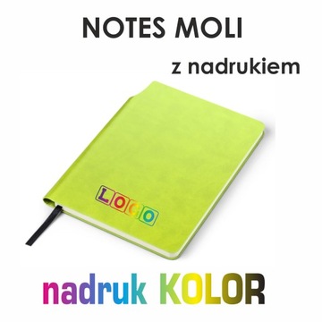Блокнот с логотипом MOLI PREMIUM, 25 шт.