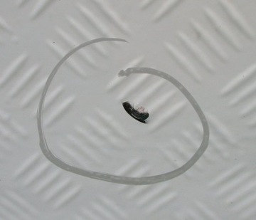 фото thumb №7, Скло передня лобове l rover discovery iii l319