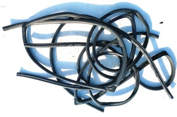 фото thumb №1, Прокладка ніша двері ліва права corolla verso ii