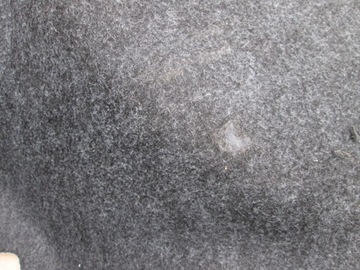 фото thumb №7, Dodge charger 2014 обшивка багажника левый задний задняя