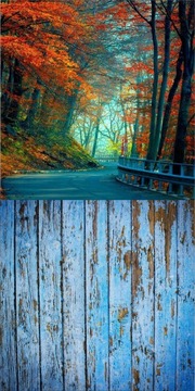 Фотофон Осенние листья деревьев 150х300 см.
