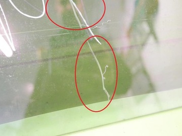 фото thumb №9, Стекло дверная правая задняя задняя ford galaxy mk1 95-