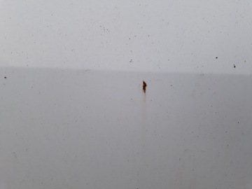 фото thumb №5, Дверь правый перед ford transit vii