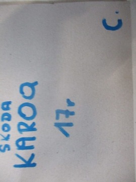 фото thumb №5, Накладка молдинг порог заглушка skoda karoq 17r