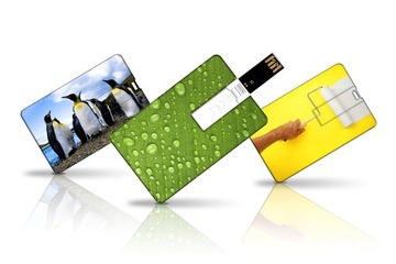 USB-КАРТА БОЛЬШОЙ 16 ГБ С ПРИНТОМ ЛОГОТИПА — 1 ПК