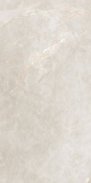 SHINESTONE WHITE POLER REKT 120*240 G2 м2 заказать