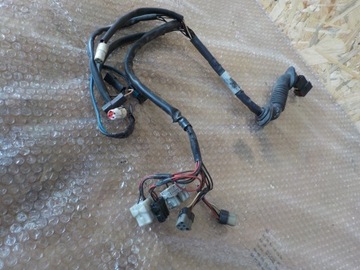 фото thumb №3, Джгут двері ліві установка daf xf 95