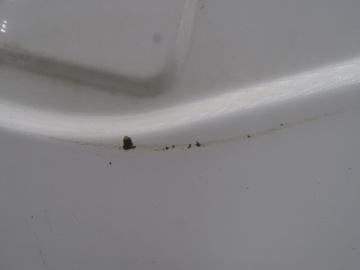 фото thumb №5, Renault midlum 00-06 dci двері лівий задня задні