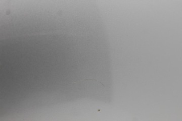 фото thumb №4, Audi a4 b6 двері перед правий as2 m4