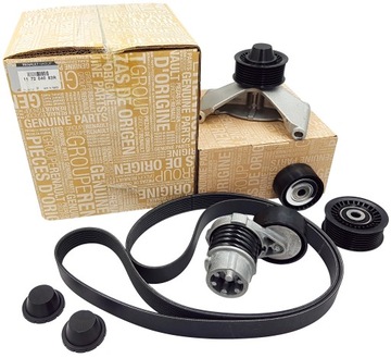 фото thumb №1, Набор ремень многоручейковый. renault clio, ca renault оригинальный номер 117204083r набор