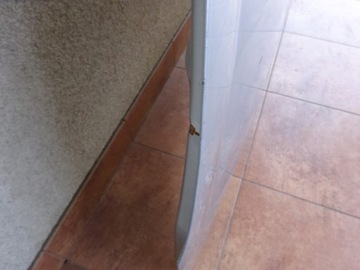 фото thumb №11, Hyundai i20 2008-2012 08-12 кришка двигуна капот
