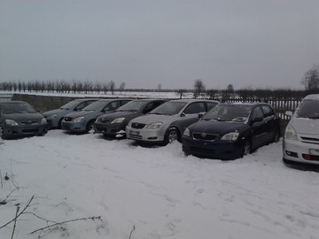 фото thumb №12, Toyota corolla e12 решётка радиатора рестайлинг решётка бампера