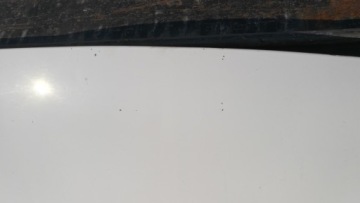 Капот крышка двигателя transit 06-14 mk7 vii Недорого, фото thumb