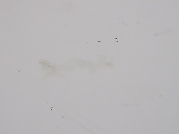 фото thumb №7, Iveco daily iv v 06-14 дверь правый перед передние