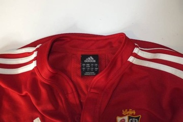 Мужская рубашка для регби Adidas British Lions S