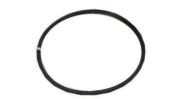 фото thumb №1, Ремінь клиновий iveco 4176009 13x1250mm