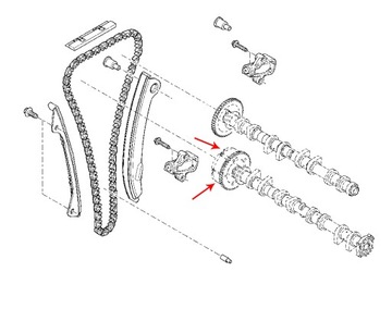 фото thumb №9, Колесо переменных faz распределительный вал nissan x-trail qashqai оригинал