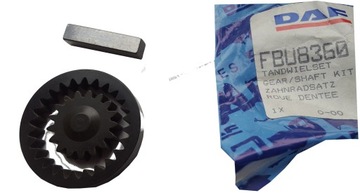 фото thumb №1, Колесо зубчасте daf 45 55 пластик fbu8360