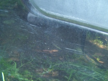 фото thumb №3, Opel zafira b ii- двері праве задні z20r