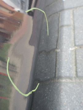 фото thumb №15, Двері лівий задня задні audi a8 d4 4h0833311